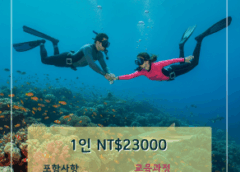 타이완 컨딩 | PADI 자격증 코스(한국어 가이드)